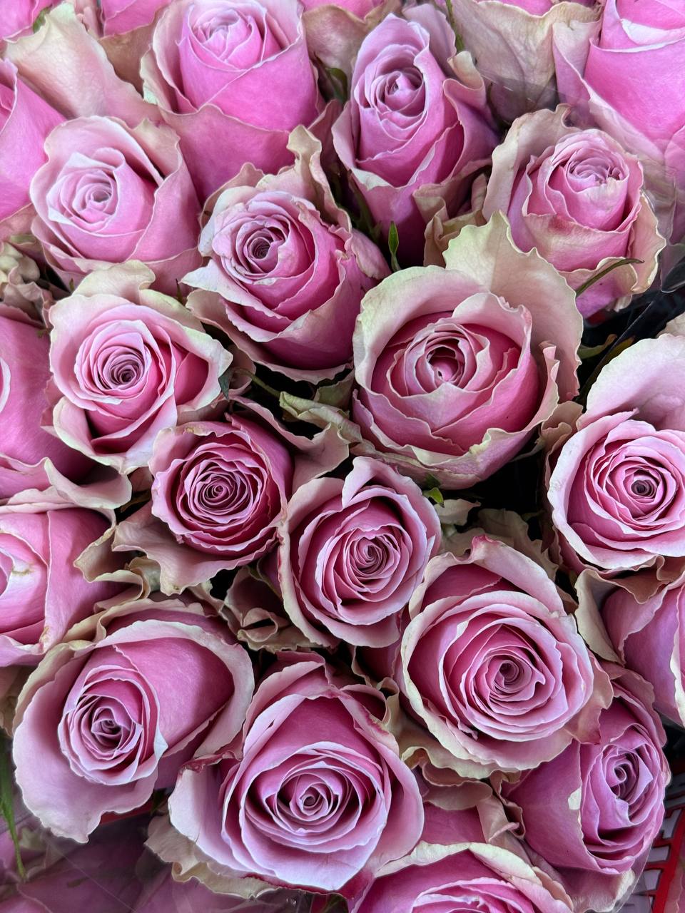 Klasikinė rožių puokštė