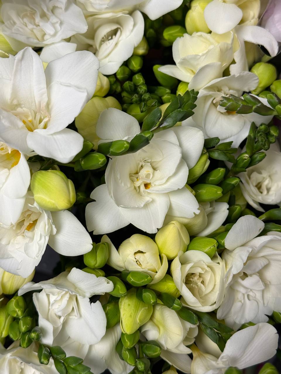 Klasikinė rožių puokštė