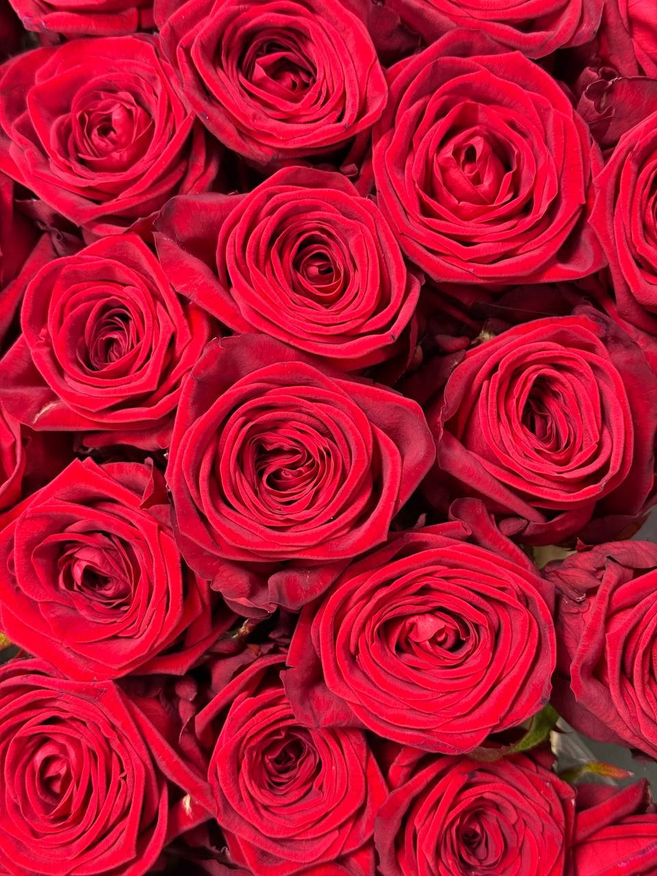 Klasikinė rožių puokštė